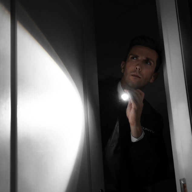 LumenLight image